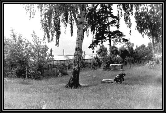 Прокунинское кладбище в 1960-е годы. На заднем плане – надгробие Е.В.Солдатенкова. Фото Ф.А. Ситнова 